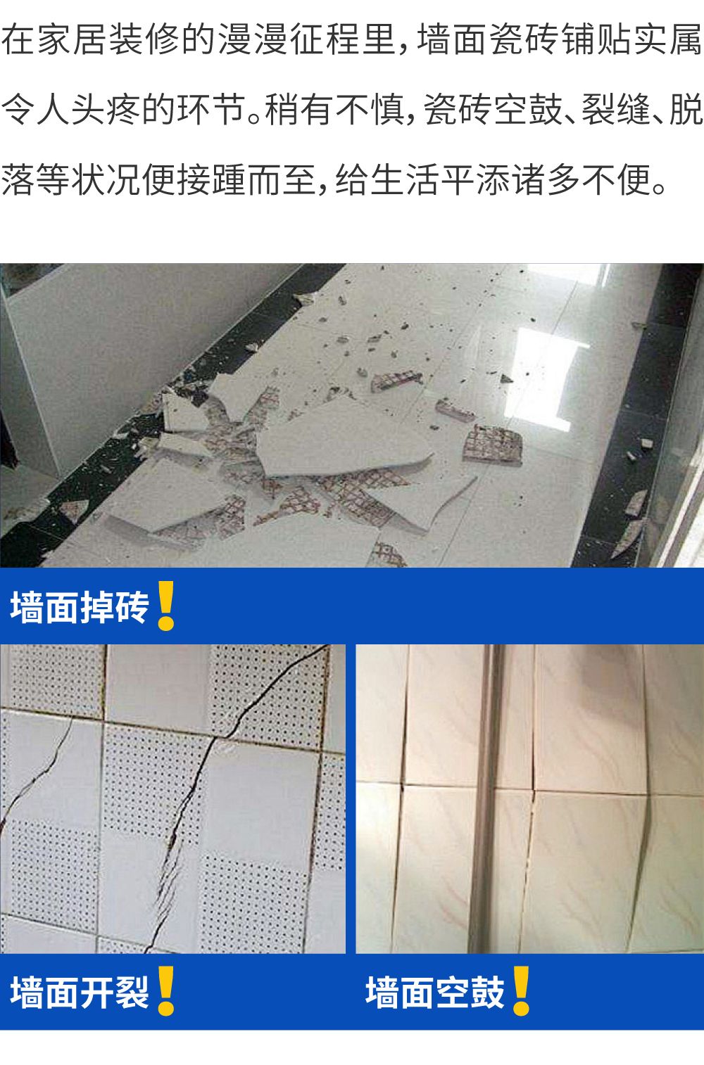 未标题-1_画板 1.jpg