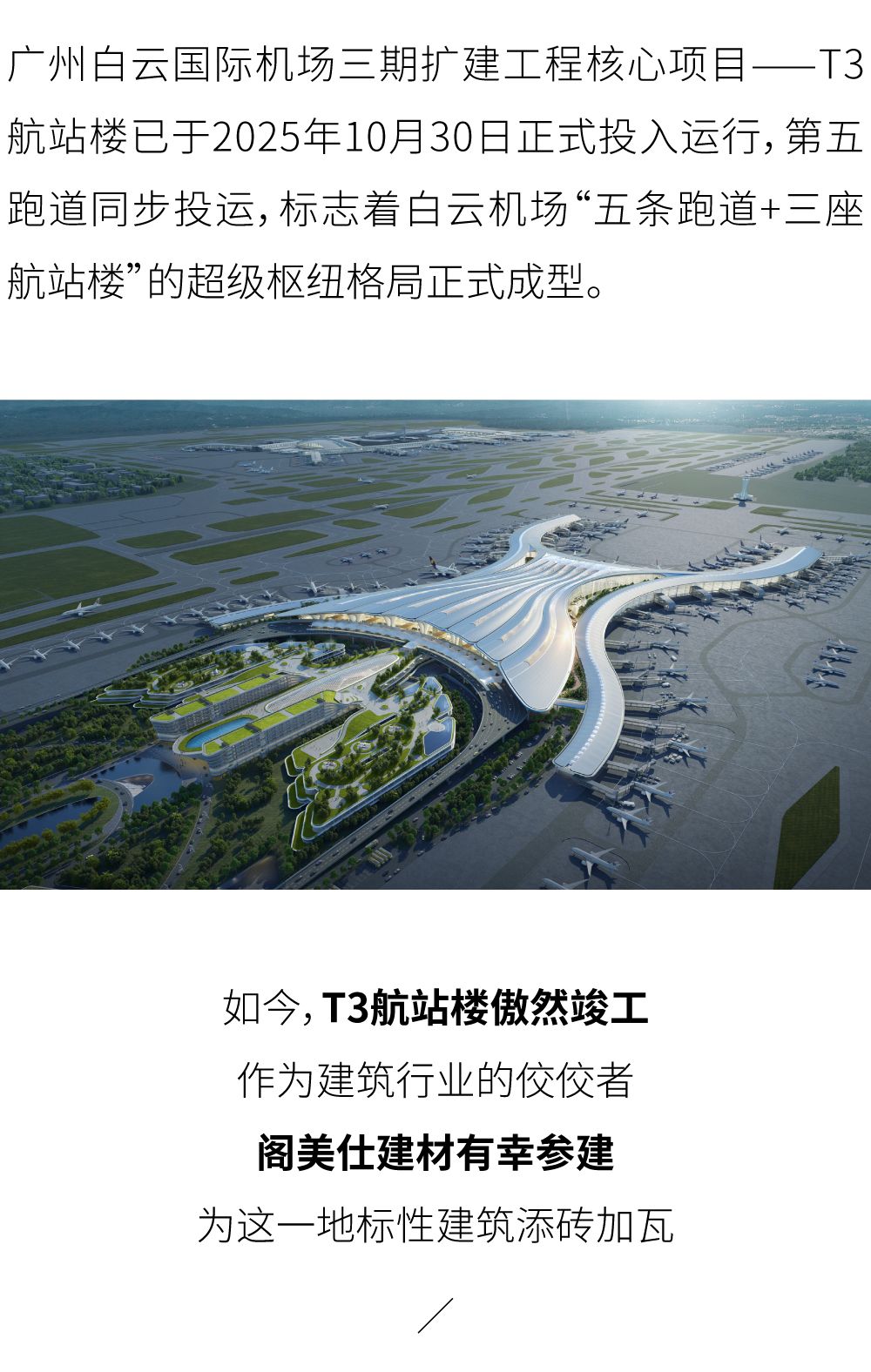 未标题-1_画板 1.jpg